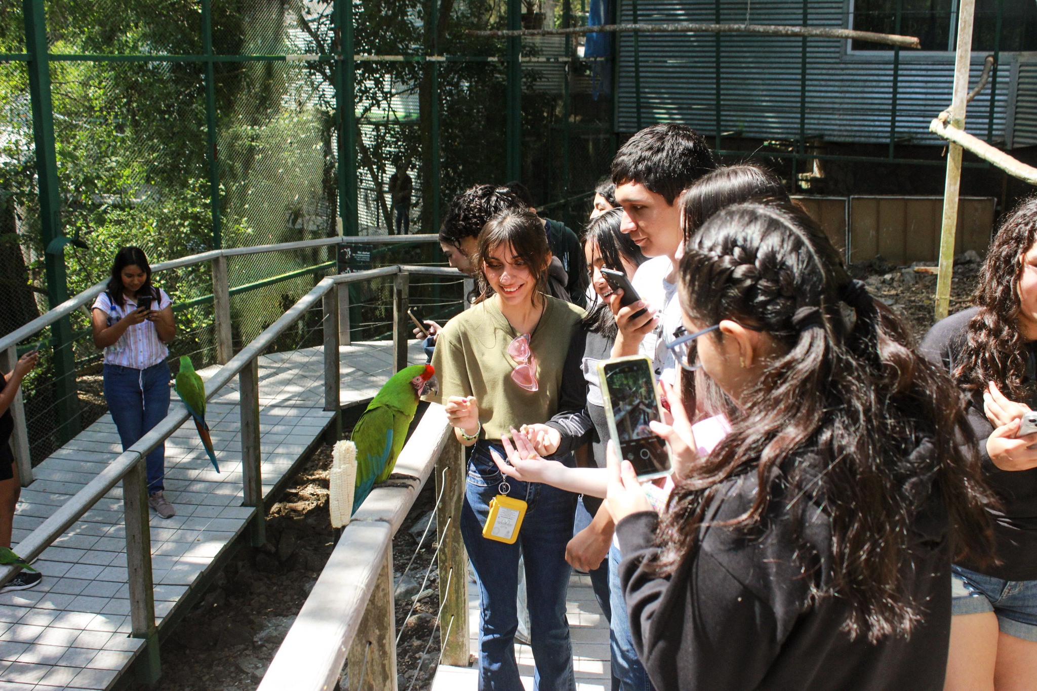 Imagen 2
