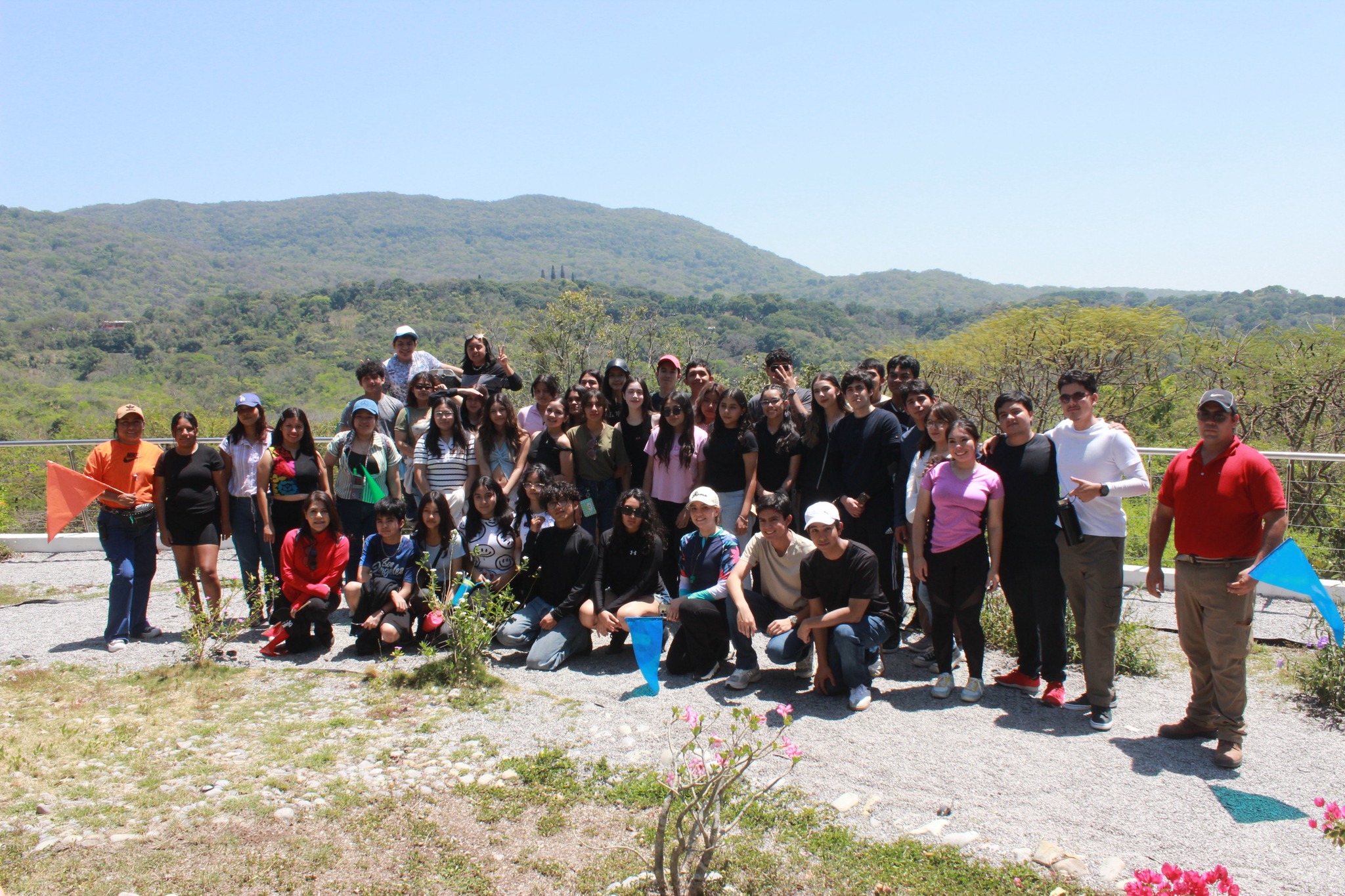 Imagen 2